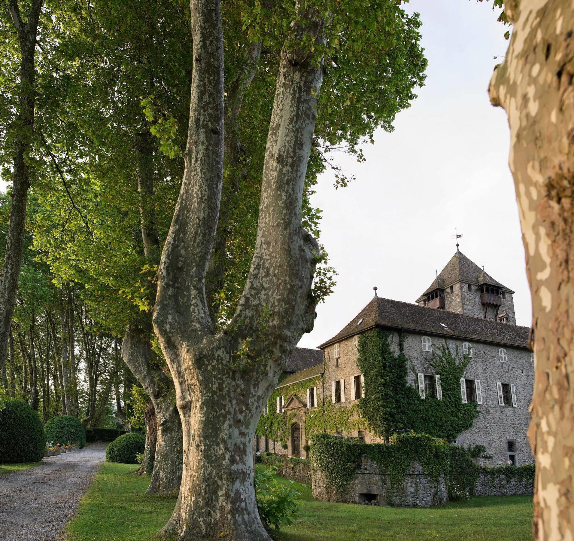 Chateau De Coudree - Les Collectionneurs Sciez Εξωτερικό φωτογραφία